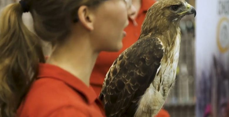 L’ARISQ se joint au lancement Drinktanks en partenariat avec L’UQROP